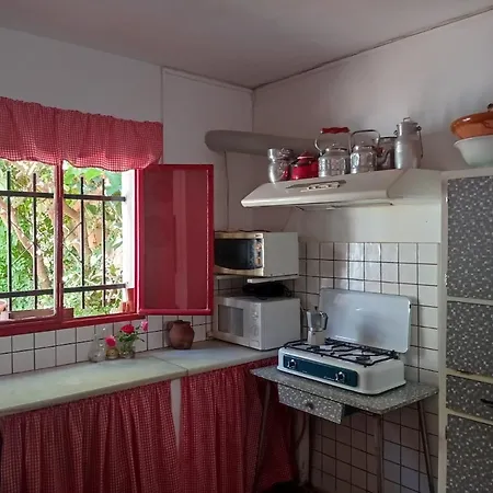 La Palmera